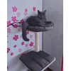Cat place
