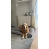 Tout doux pour mon vieux doudou