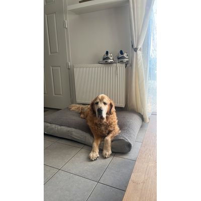 Tout doux pour mon vieux doudou