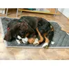 Tolle Decke