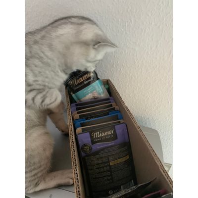 LOKI und Miamor