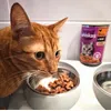 Whiskas 2