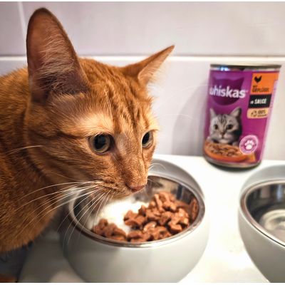 Whiskas 2