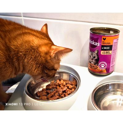 Whiskas