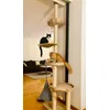 Katzenbaum erweitert