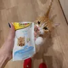 Momo es a zacsko