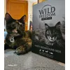 Wlld freedom 