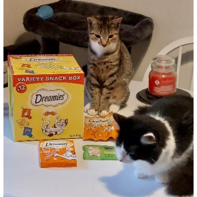 My cats love dreamies