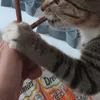 Simba loves dreamies meaty sticks