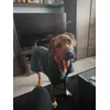 Baron
