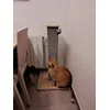 Apto para gatos grandes y con peso