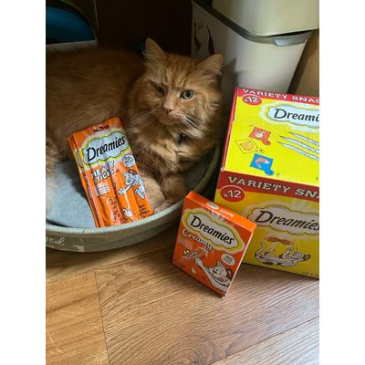 Dreamies heaven