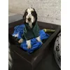 Doggy - Wellness