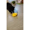 Kerbl Pet Katzenspielzeug