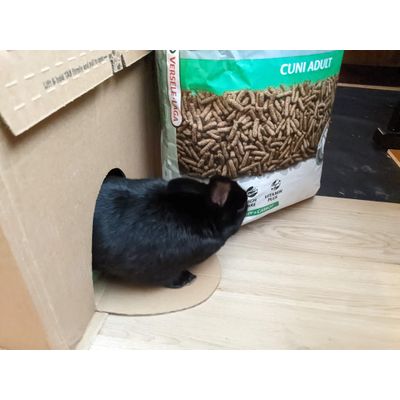 Sniffing the goods