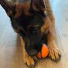 Best ball For GSD choose size L