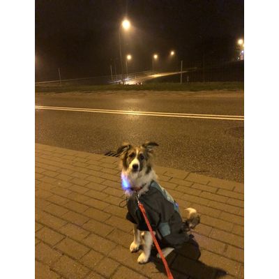 Ruby