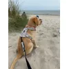 Ostsee 