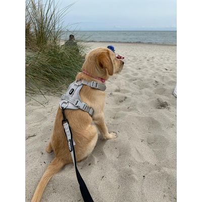Ostsee