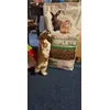 Kiki 