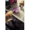 My dogs love it