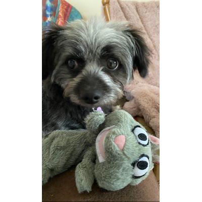 Tilly