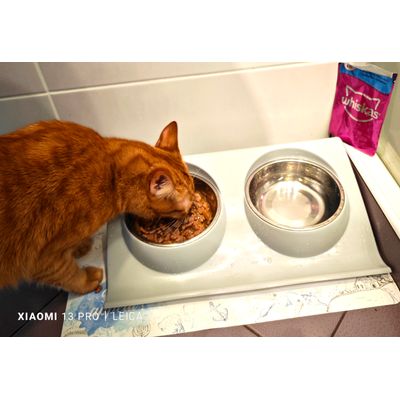 Whiskas