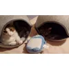 Louis et Kika