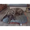 Bako 55kg