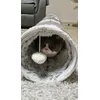 Kuscheltunnel 