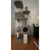 Encontra a gata