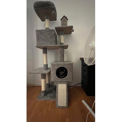 Encontra a gata