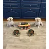 Dogs loving it