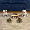 Dogs loving it