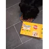 Dog food 