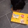 Dog food