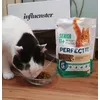 Meine Katzen lieben das Futter