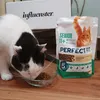 Meine Katzen lieben das Futter