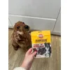 Waiting for her treat