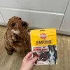 Waiting for her treat