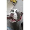 Benson loving these