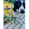 Tasty Chews