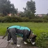 Staffy con pitbull de 32 kg y mucho pecho