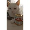 Gourmet Gravy heart white cat