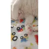 Gourmet Gravy heart white cat