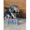 Baks ist begeistert