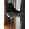 Miauuuu
