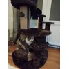 Arbre a chat emil