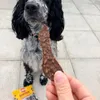 Oreo loves this new treats