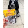 Oreo loves this new treats 